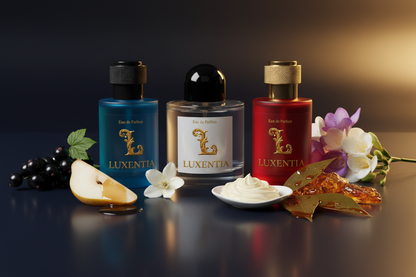 Luxentia Black Currant Midnight Jasmine Vanilla Caramelized Patchouli 50ml